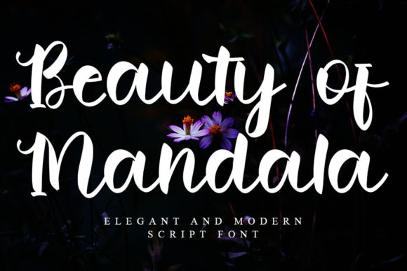 Beauty of Mandala Script Font for Handmade Creators