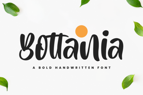 Bottania Script Font for Elegant Branding