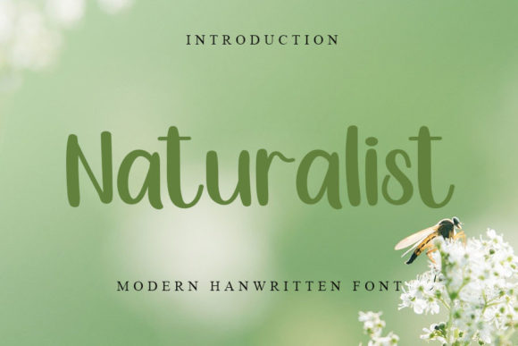 Naturalist: A Refined Script Font for Editorial Design