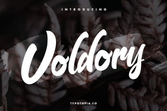 Voldory: A Chic Paint-Brushed Script Font for Editorial Design